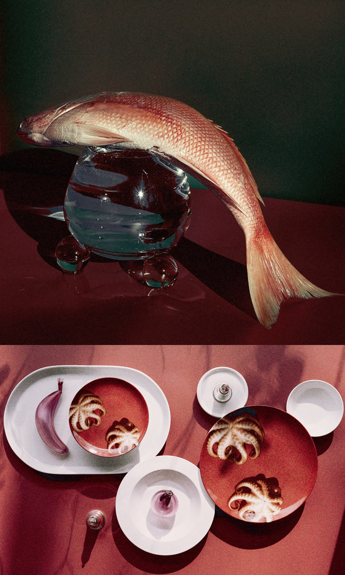Combined image with lifestyle photo of fish on clear glass globe next to a photo of Beyond The World dinner plats